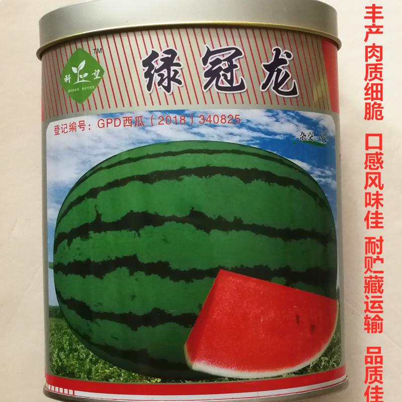 绿冠龙红瓤西瓜种子丰产口感风味佳耐贮运四季田园基地精选种