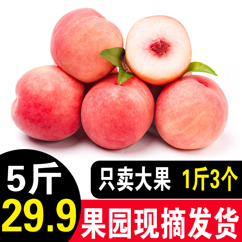 【新鲜现货水蜜桃】5斤突围脆桃现摘 安徽当季应水果整箱毛桃子