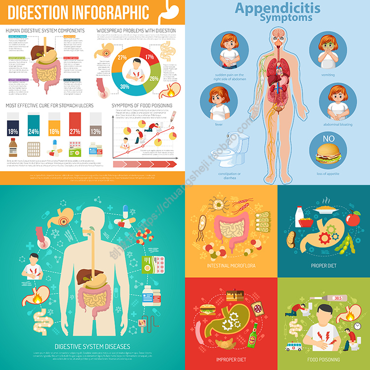 消化系统疾病信息图表扁平化卡通胃胀胃痛插画AI格式矢量设计素材