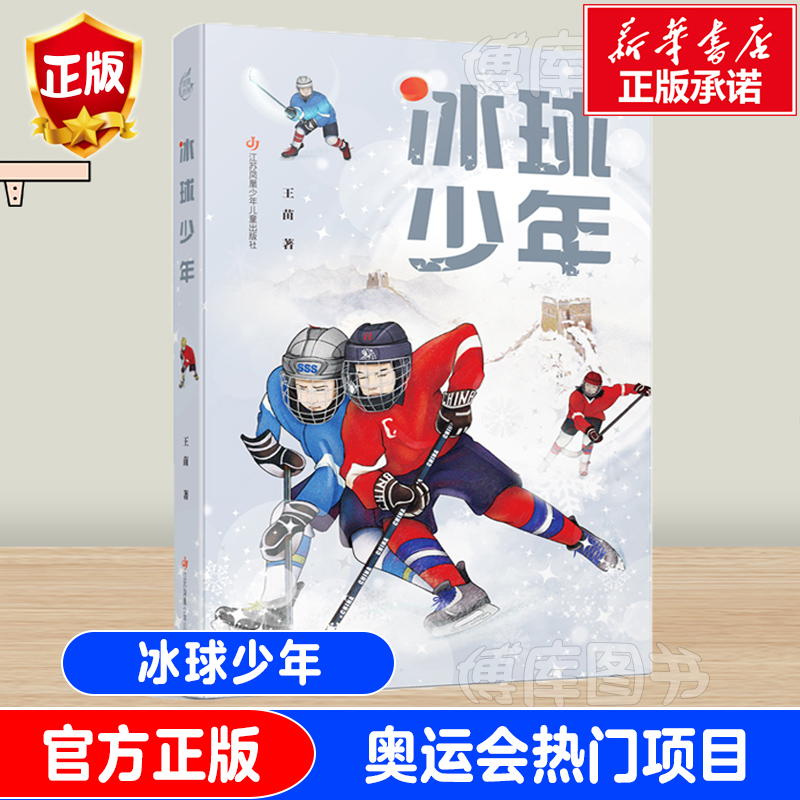 冰球少年 王苗著 二三四年级小学生阅读课外书 速滑短道速滑花样滑冰故事书小说 北京东奥热门项目相关读物