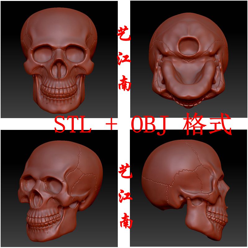 S0009骷髅头头颅STL格式OBJ文件3D打印电子模型立体图