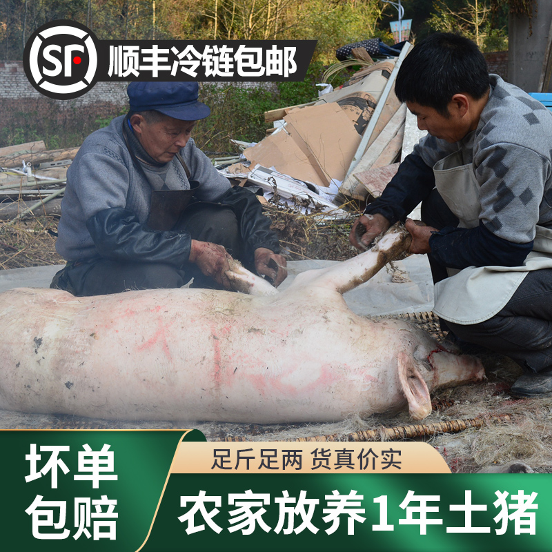 猪前夹子肉4斤重庆农家高山纯粮食散养一年以上大肥猪新鲜现杀