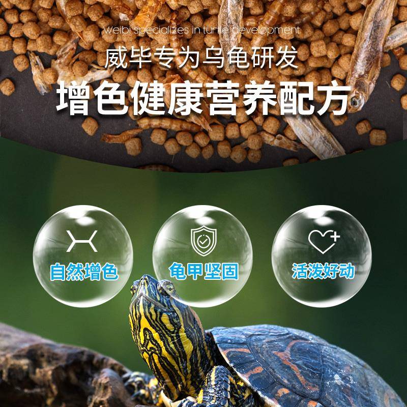 大小龟粮饲料通用幼龟巴西金线草龟墨龟珍珠花龟地图鳄龟乌龟活物