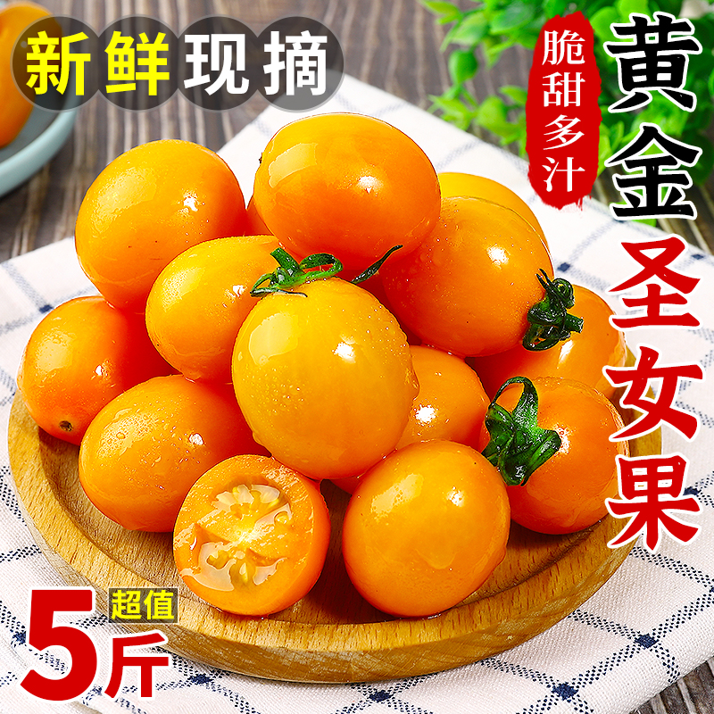 新鲜黄金圣女果5斤樱桃千禧小番茄水果现摘自然熟黄色西红柿包邮