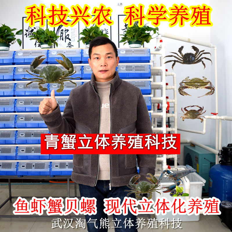 厂家直销小龙虾梭子蟹青蟹螃蟹室内立体养殖箱农业水产养殖设备