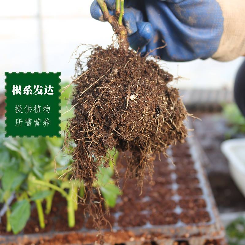 30L有机营养土种植土通用型养花种菜土绿萝多肉泥土花肥有机土壤