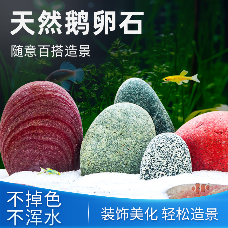 天然长江彩石鱼缸石造景装饰石头装饰彩色鹅卵石摆件叠石水草陶罐