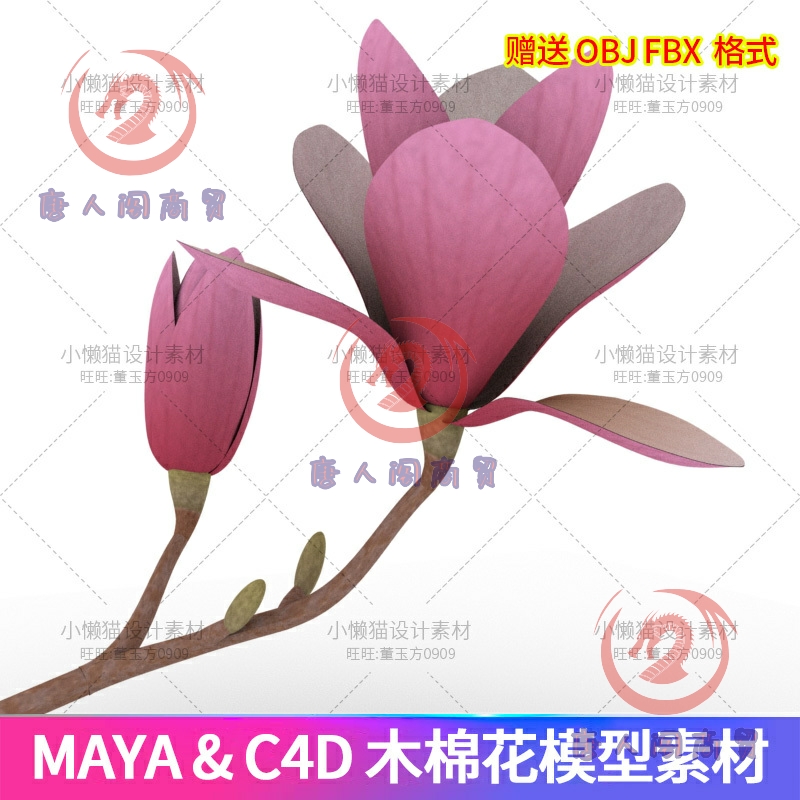 maya木棉花模型素材c4d植物花卉模型3d花朵模型obj fbx贴图-06529