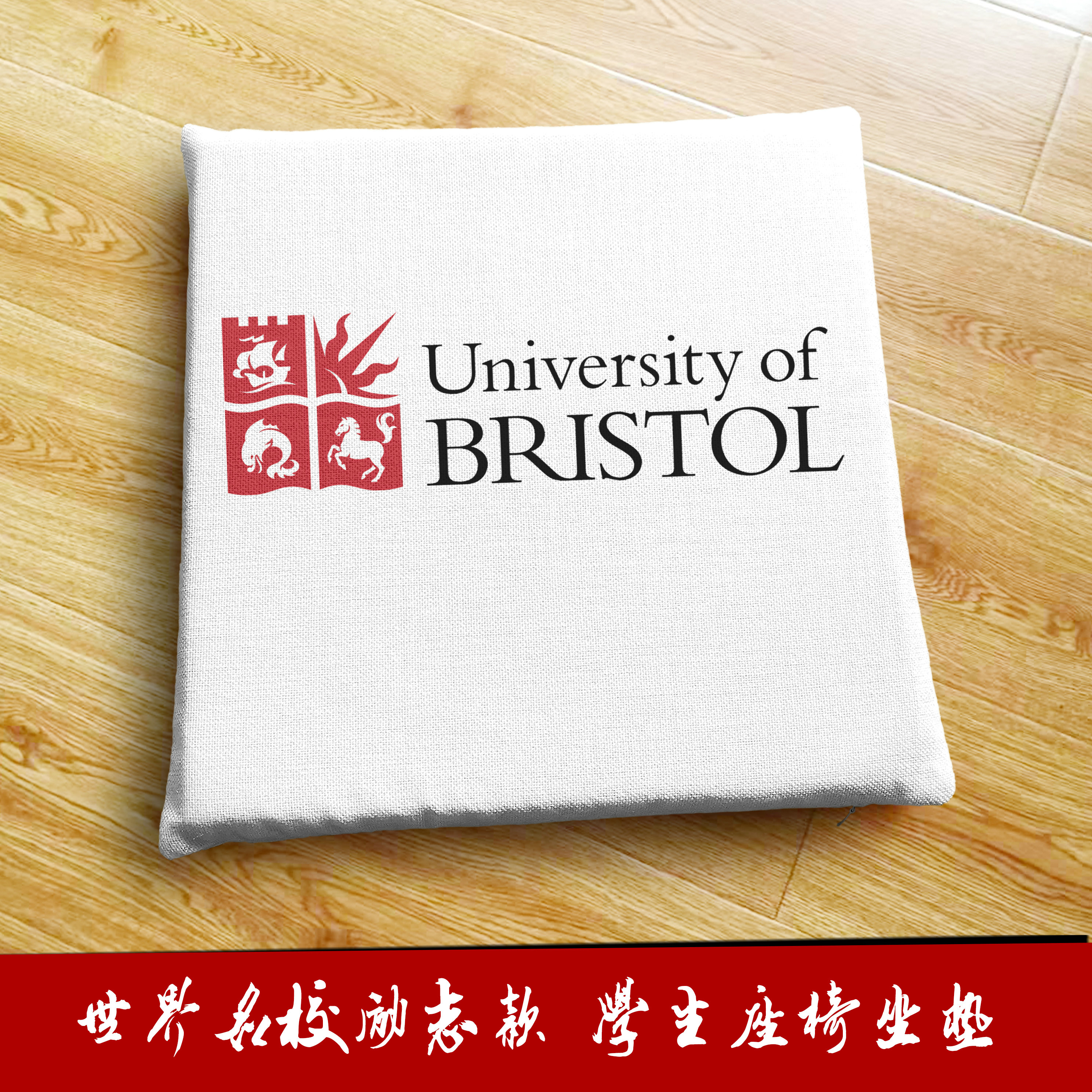 英国布里斯托大学周边纪念品定制学生座椅垫子沙发坐垫地板地垫
