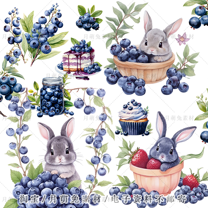 水彩蓝莓可爱兔子插画海报装饰剪贴画手账png设计素材