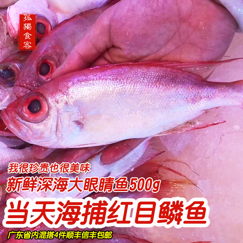 新鲜红目鲢鱼大眼鸡鲷鱼红目鳞潮汕广东大排档海鲜鱼类500g约3条