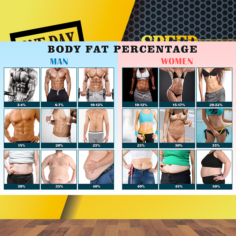 人体脂肪百分比例参考图BMI体脂率评估墙纸男女体态姿势对比图表