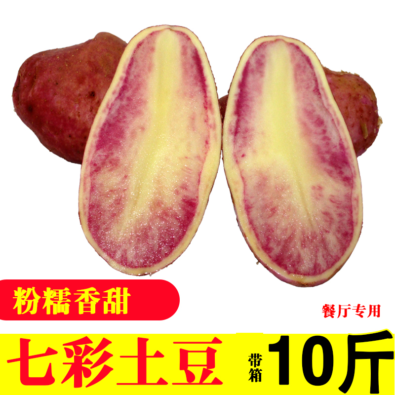 大凉山花心洋芋云南丽江七彩土豆紫马铃薯新鲜红皮红心大土豆10斤