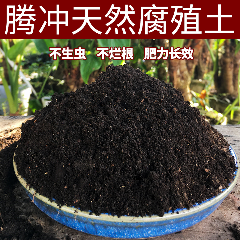 云南森林腐叶土养花种菜专用种植土壤通用型营养土腐熟松针腐殖土