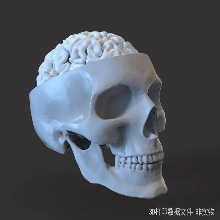3d打印图纸模型素材文件骷髅头大脑STL摆件立体圆雕图M338