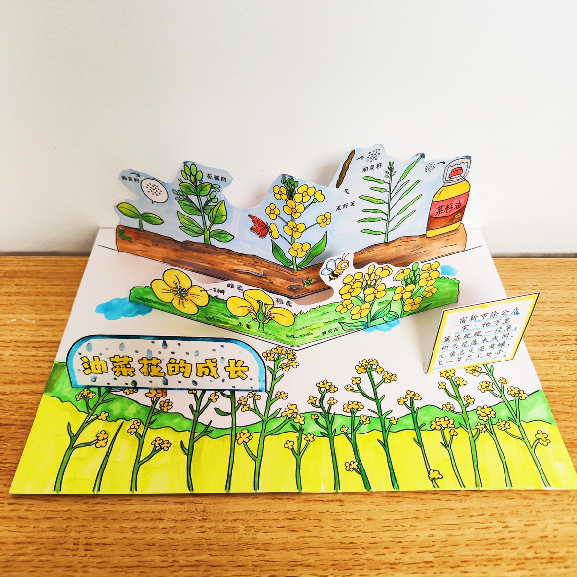 油菜花的成长记录绘本手工手绘活动素材儿童手工DIY涂色手帐立体