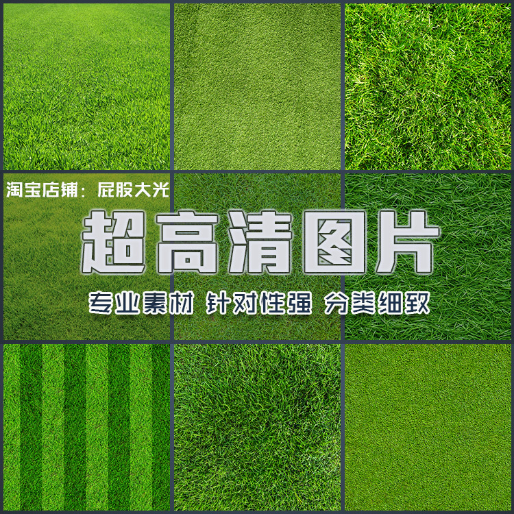 超大超高清图片绿色草地草坪绿化草丛绿油油小草背景ps设计素材