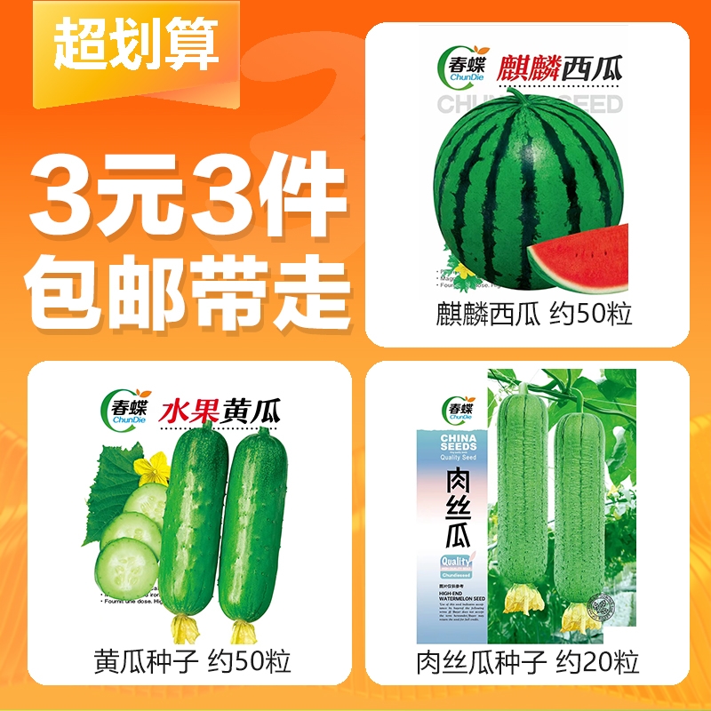 【3元3件】麒麟西瓜种子+水果黄瓜种子+肉丝瓜种子（三件套）
