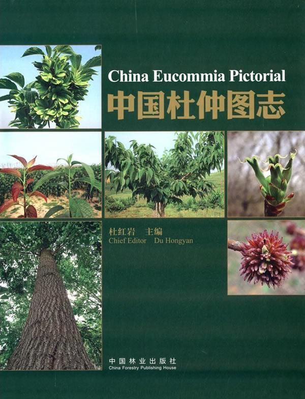 中国杜仲图志 9787503873812 杜　主编 中国林业出版社