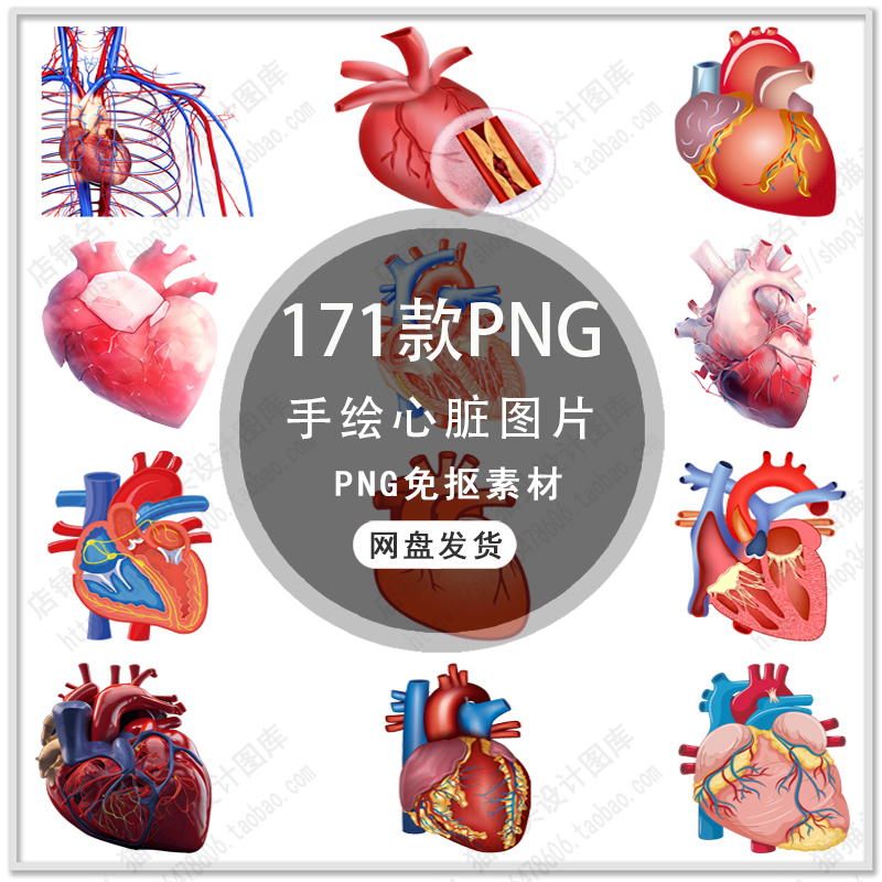 卡通人体内脏器官手绘卡通心脏心率心电图医疗海报PNG免扣素材