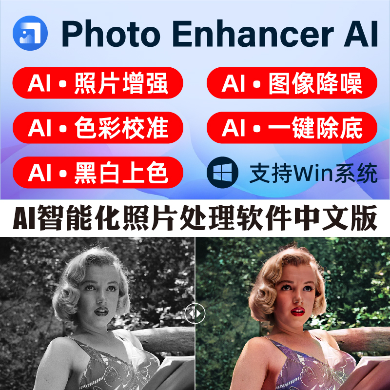 AVCLabs Photo Enhancer AI 智能图片放大黑白照片上色清晰降噪