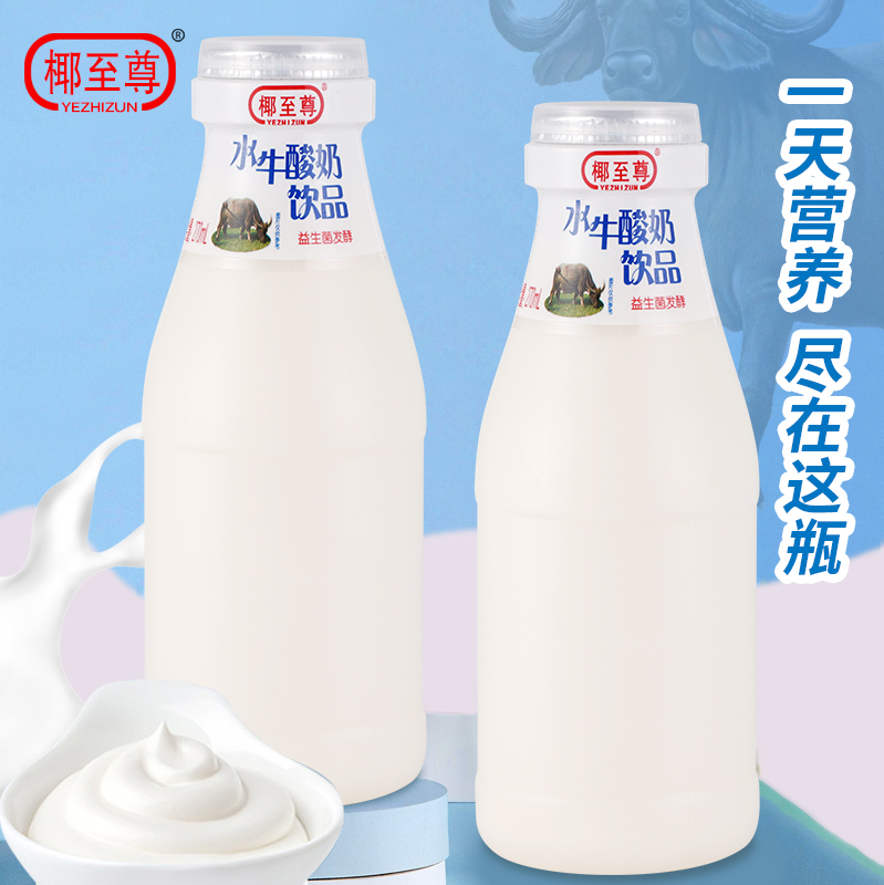 水牛牦牛酸奶饮品12瓶女士学生儿童牛奶益生菌酸奶整箱批发早餐奶