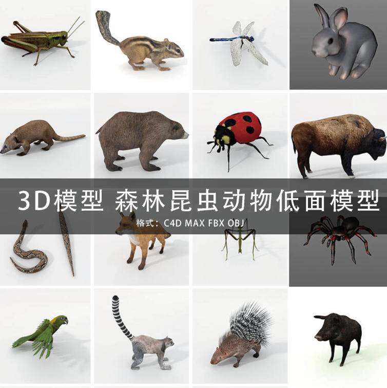 C4D/MAYA/3DMAX 30种森林昆虫动物鹰变色龙3D模型低面模型GC152