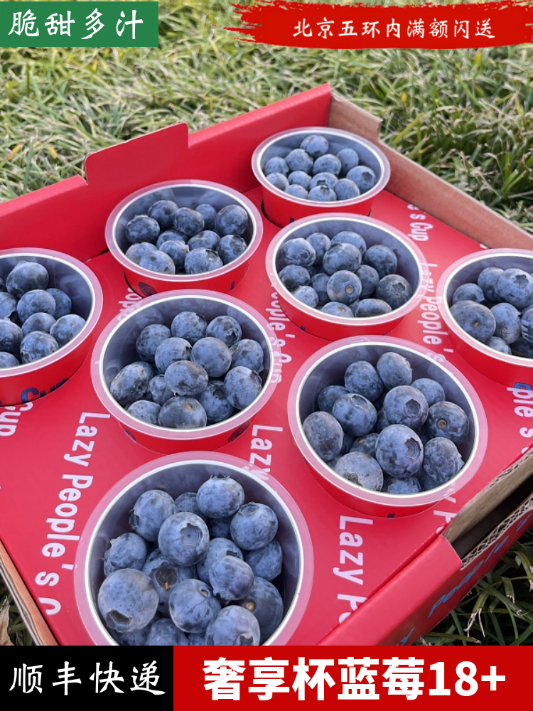 奢享杯蓝莓18+小懒杯鲜果8杯共800克礼盒装 大甜秘鲁新鲜孕妇水果