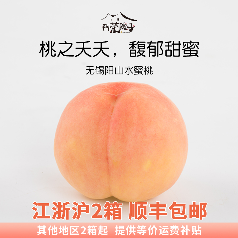 阿荣院子正宗无锡阳山水蜜桃 新鲜水果特产现4-8两白凤桃盒装