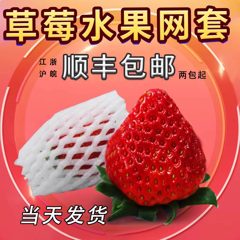 水果防震网套保护草莓泡沫网套包装杏枇杷小网套网兜发泡网袋批发