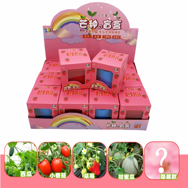 儿童种植盆栽芒种盲盒蔬菜水果花草自种迷你创意桌面绿植长草娃娃