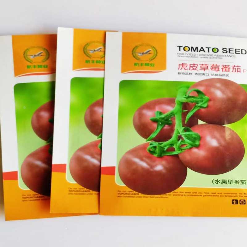 草莓虎皮杂交番茄种子早熟高产新品种无限生长果皮脆甜无渣风味佳