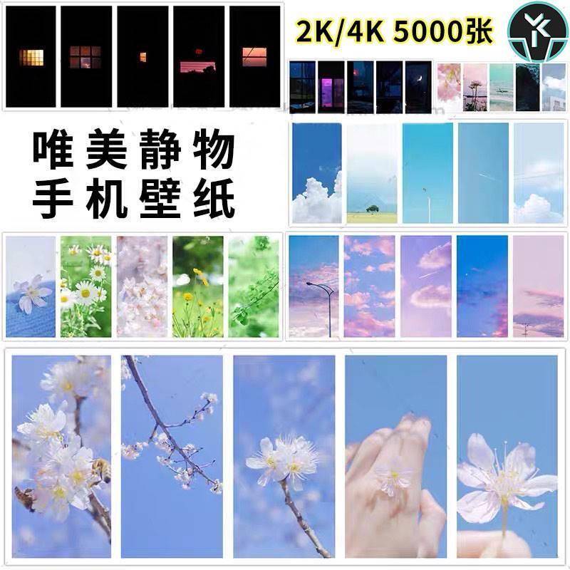 唯美手机壁纸合集2K4K高清风景天空花朵清新静物桌面背景图片素材