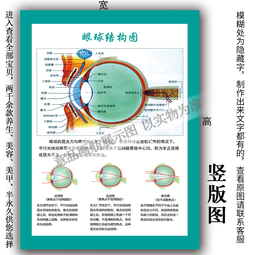 视力养护眼球结构图海报PP胶贴纸KT板装饰画近视广告设计宣传挂图