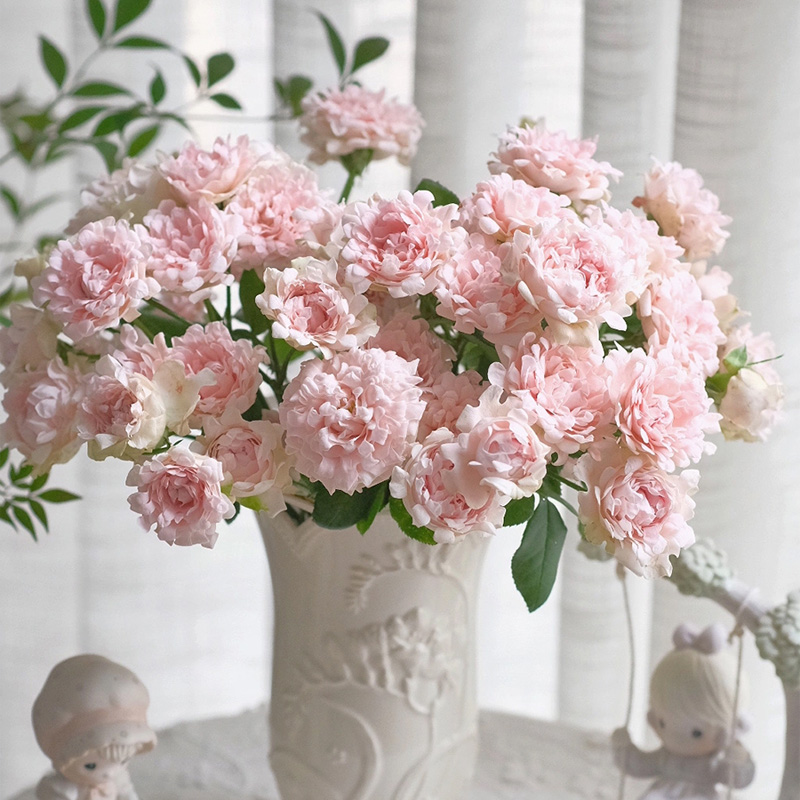 多头苏芬玫瑰鲜花云南直发粉色室内水培花束红色插花鲜切花玫瑰花