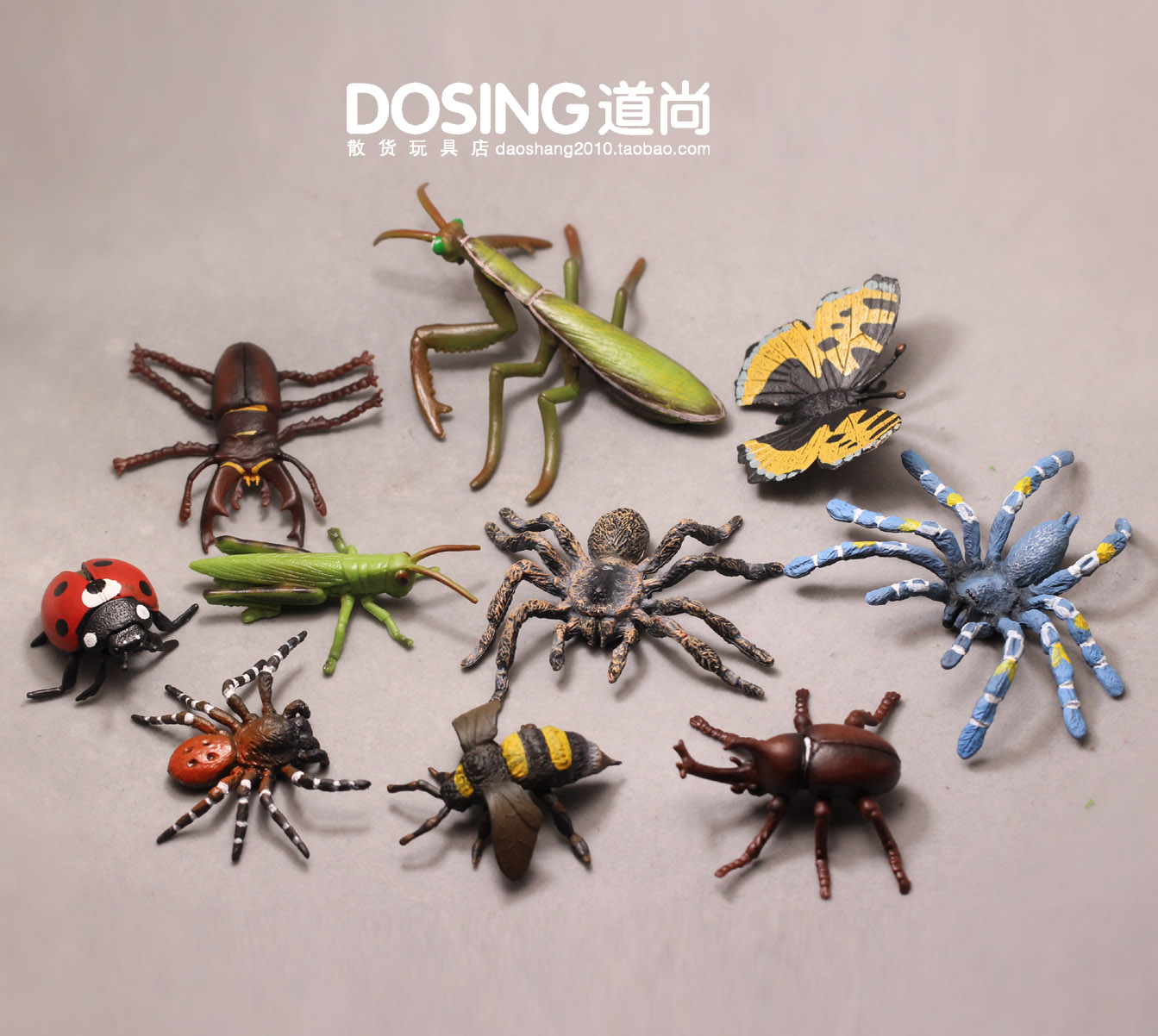 仿真动物模型 昆虫类 蜘蛛 螳螂 草蜢 蝴蝶甲虫 塑料玩具模型摆件