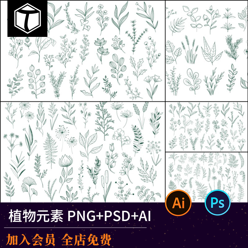 手绘植物叶子花卉花朵线描线条线稿图案AI矢量设计素材PNG免扣PS