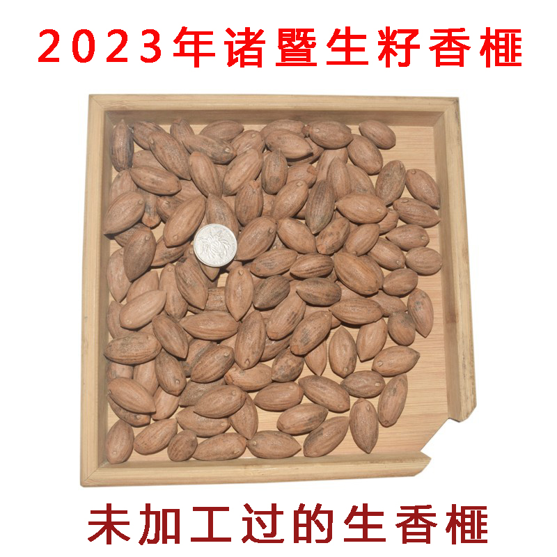2023年诸暨香榧子生籽 没有加工过的生籽香榧药用榧子500克