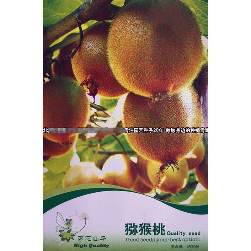 水果之王【猕猴桃】阳台种子种子水果家庭 奇异果易种