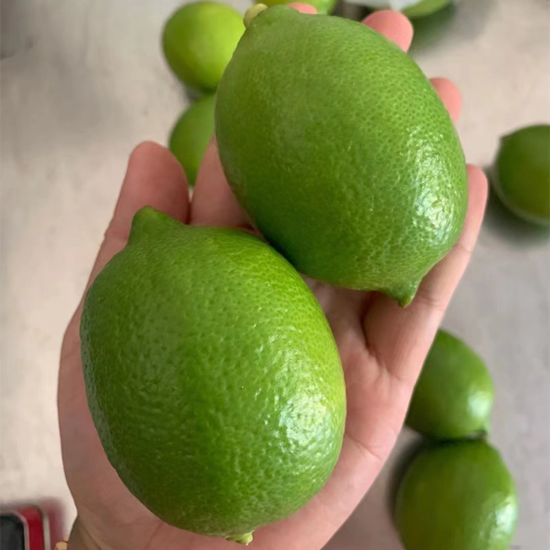 【3斤起包邮】台湾品种新鲜水果青柠檬改善酸性体质VC王皮薄多汁