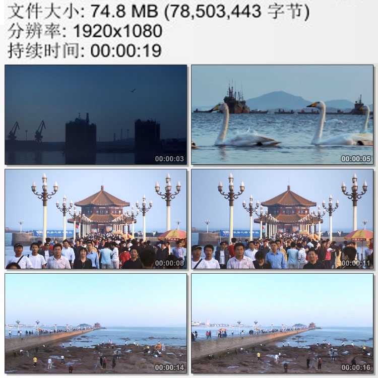 青岛海边栈桥游客 海港 海面天鹅 高清实拍视频素材