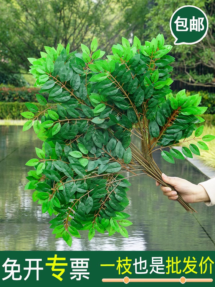 仿真榆树叶手感过胶塑料榆树支绿色植植物叶子假树枝工程装饰造型