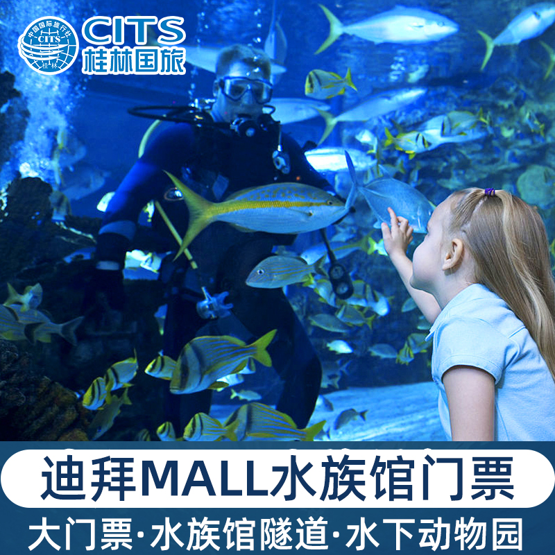 [迪拜水族馆和水下动物园-大门票][迪拜mall水族馆-大门票]水下动物园门票迪拜塔 基本体验