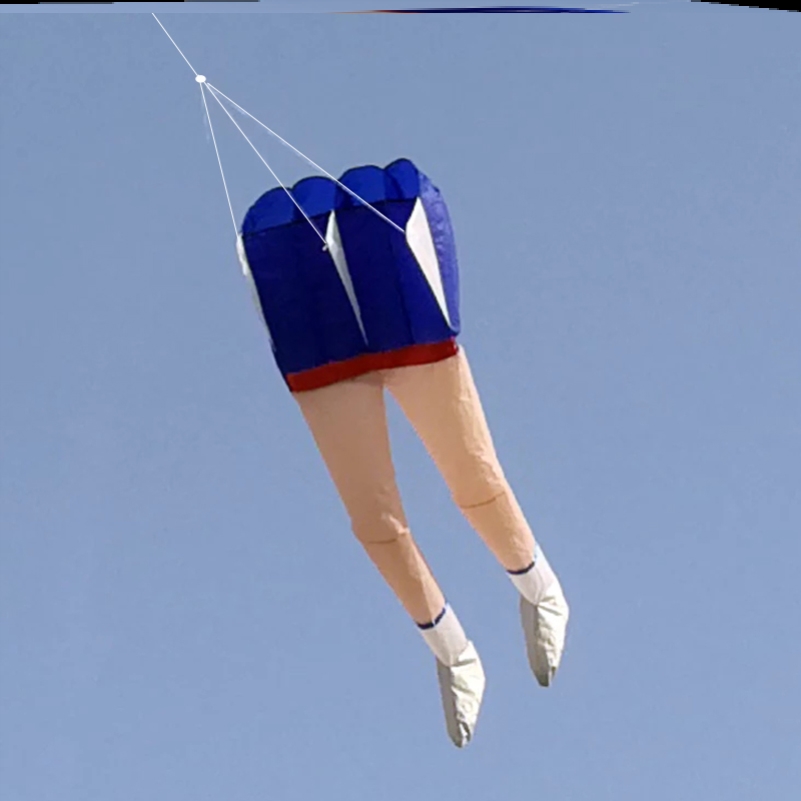 风筝大人专用搞笑搞怪2023新款软体大型3D立体成人沙雕长腿风筝