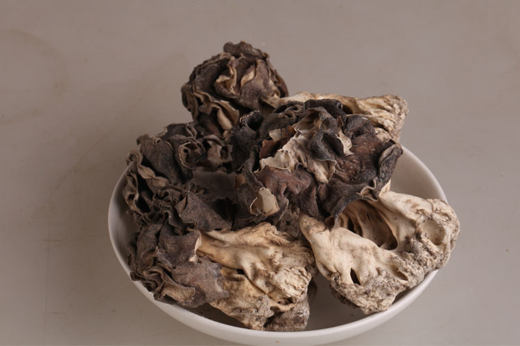 新疆巴楚野生蘑菇干食用菌香菇胡杨林皱柄羊肚菌巴楚菇大货1斤