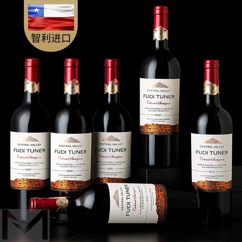 福蒂特娜原瓶进口红酒智利干红葡萄酒中央山谷产区750mlx12瓶
