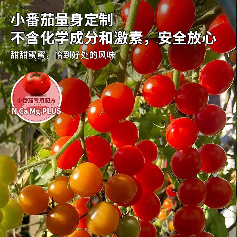 新品小番茄肥料营养液西红柿专用果蔬瓜果盆栽阳台蔬菜有机肥家用