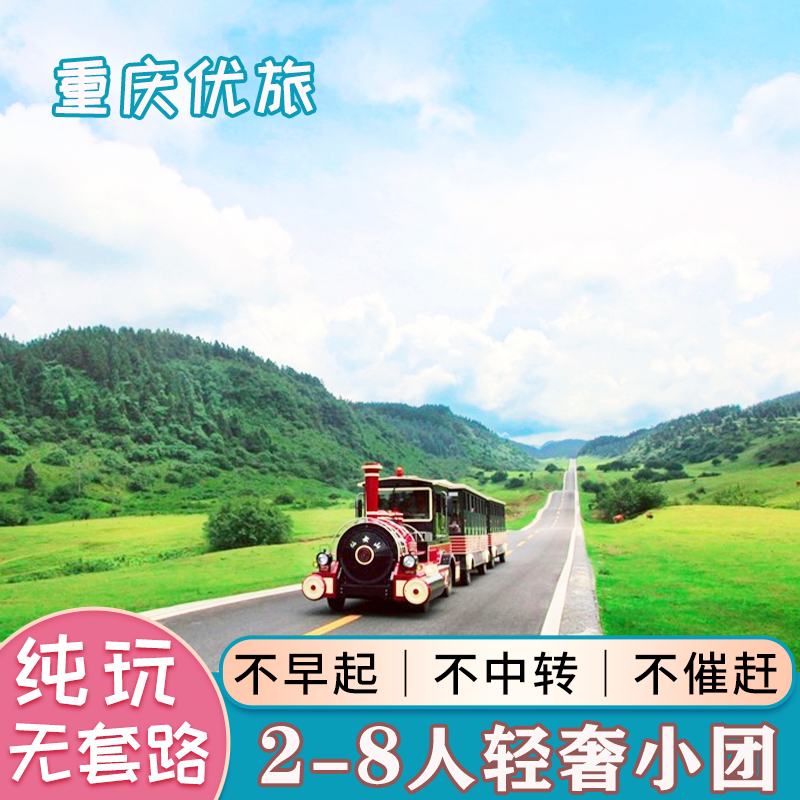 重庆旅游周边两日游纯玩小团武隆天生三桥大裂谷旅行社包车跟团游