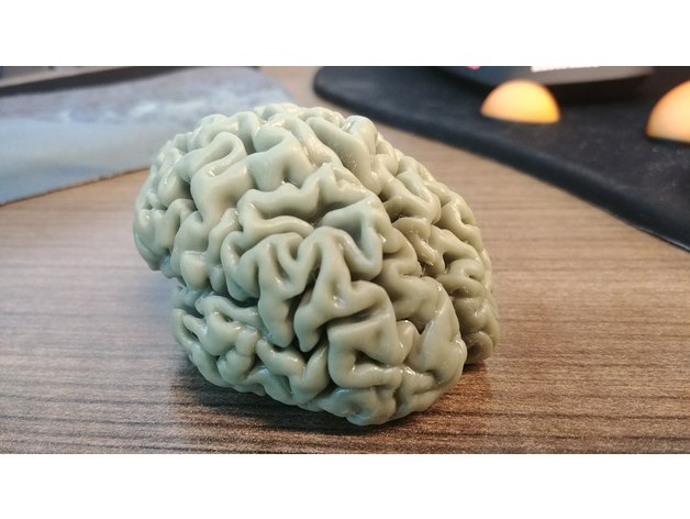 3d打印模型 stl文件 大脑 脑白质 冰箱磁贴 人脑