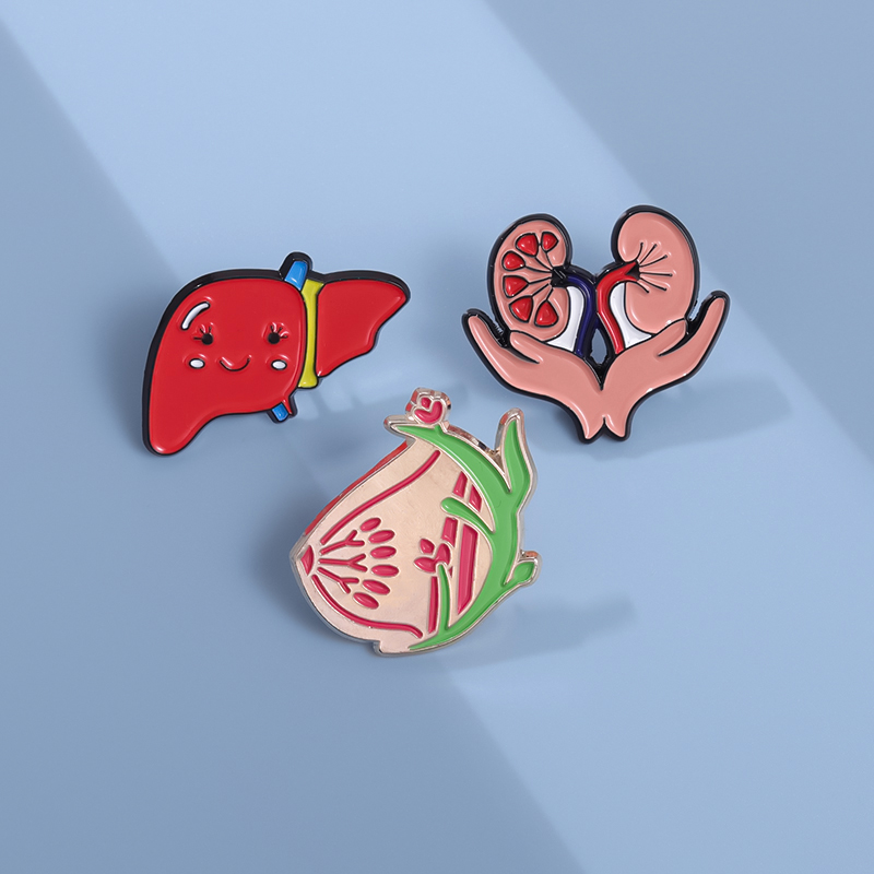 身体器官胸针医学生礼物徽章创意肾脏肝脏乳腺标志挂饰胸针配饰